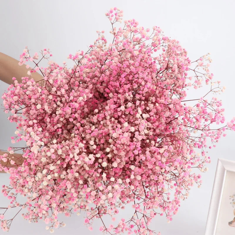 120g/450g Preserved Flowers Natural Fresh Gypsophila Dried Baby's Breath Flower Bouquets Gift for Wedding Decoration Home Decor