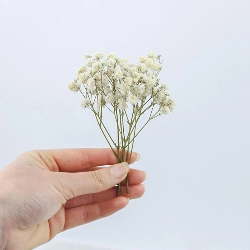 Set Of 50 Everlasting White Baby’s Breath Dried Flower Floral Stems For Wedding Decoration And Handmade Crafts 6XDE