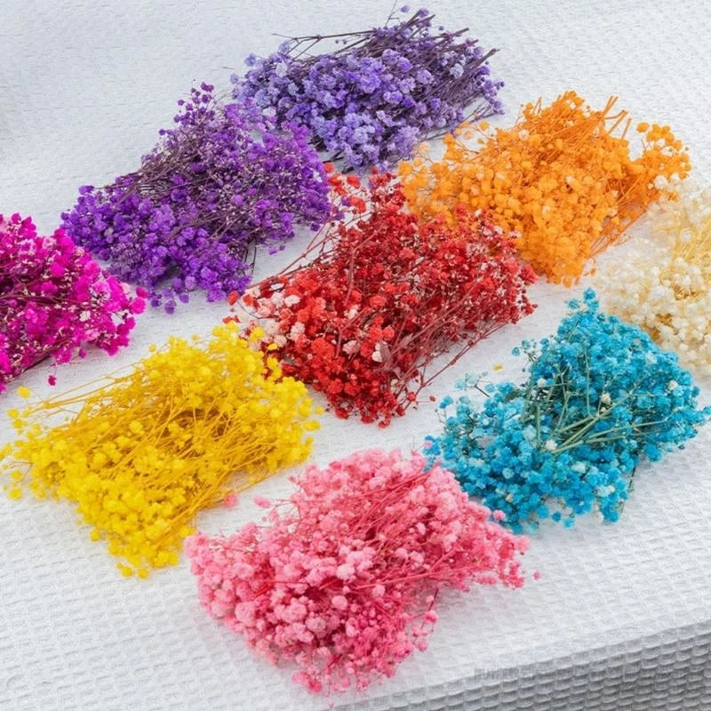 Set Of 50 Everlasting White Baby’s Breath Dried Flower Floral Stems For Wedding Decoration And Handmade Crafts 6XDE