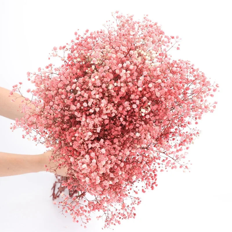 120g/450g Preserved Flowers Natural Fresh Gypsophila Dried Baby's Breath Flower Bouquets Gift for Wedding Decoration Home Decor