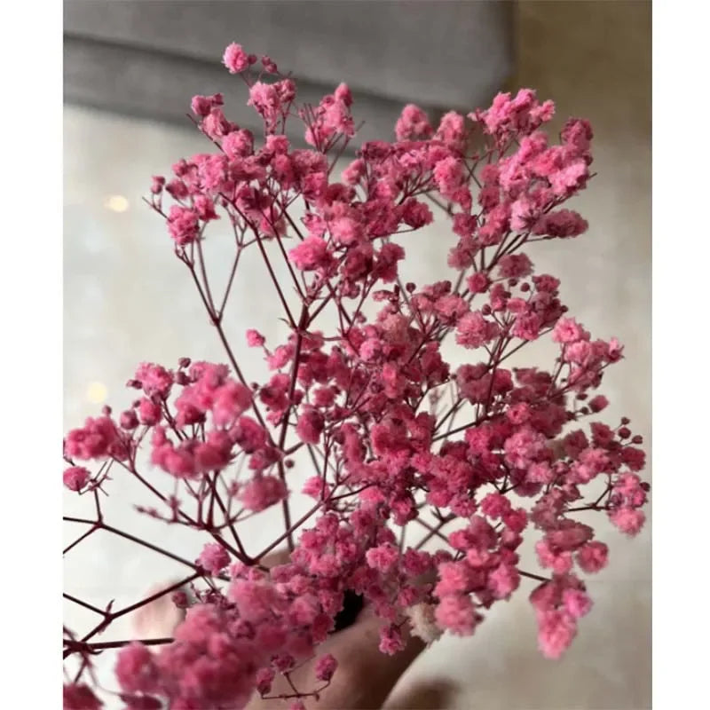 120g/450g Preserved Flowers Natural Fresh Gypsophila Dried Baby's Breath Flower Bouquets Gift for Wedding Decoration Home Decor