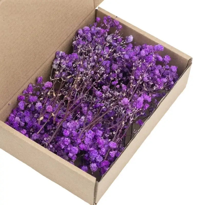 Set Of 50 Everlasting White Baby’s Breath Dried Flower Floral Stems For Wedding Decoration And Handmade Crafts 6XDE