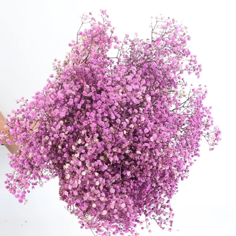 120g/450g Preserved Flowers Natural Fresh Gypsophila Dried Baby's Breath Flower Bouquets Gift for Wedding Decoration Home Decor