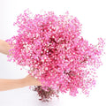 120g/450g Preserved Flowers Natural Fresh Gypsophila Dried Baby's Breath Flower Bouquets Gift for Wedding Decoration Home Decor