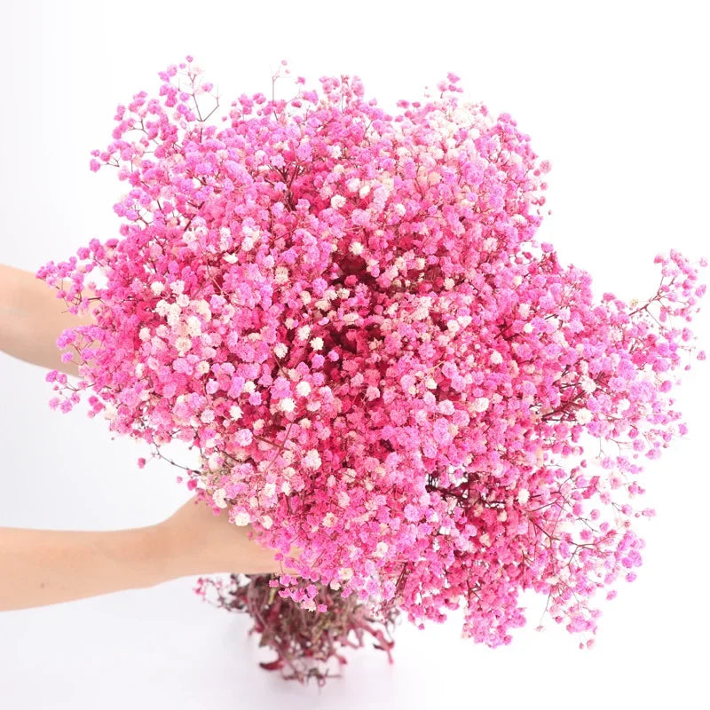 120g/450g Preserved Flowers Natural Fresh Gypsophila Dried Baby's Breath Flower Bouquets Gift for Wedding Decoration Home Decor