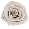 B Grade 5-6cm Preserved Natural Rose Head Fresh Real Rose Flowers Long Last Immortal Flowers Wedding Decor Florist DIY Materials