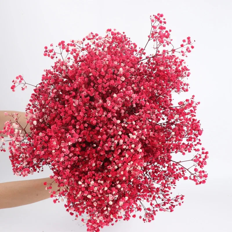 120g/450g Preserved Flowers Natural Fresh Gypsophila Dried Baby's Breath Flower Bouquets Gift for Wedding Decoration Home Decor