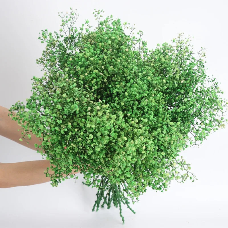 120g/450g Preserved Flowers Natural Fresh Gypsophila Dried Baby's Breath Flower Bouquets Gift for Wedding Decoration Home Decor