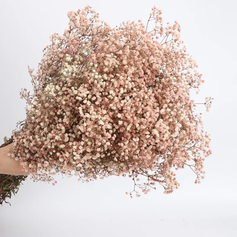 120g/450g Preserved Flowers Natural Fresh Gypsophila Dried Baby's Breath Flower Bouquets Gift for Wedding Decoration Home Decor
