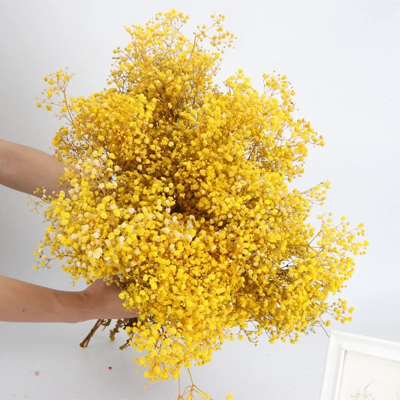 120g/450g Preserved Flowers Natural Fresh Gypsophila Dried Baby's Breath Flower Bouquets Gift for Wedding Decoration Home Decor
