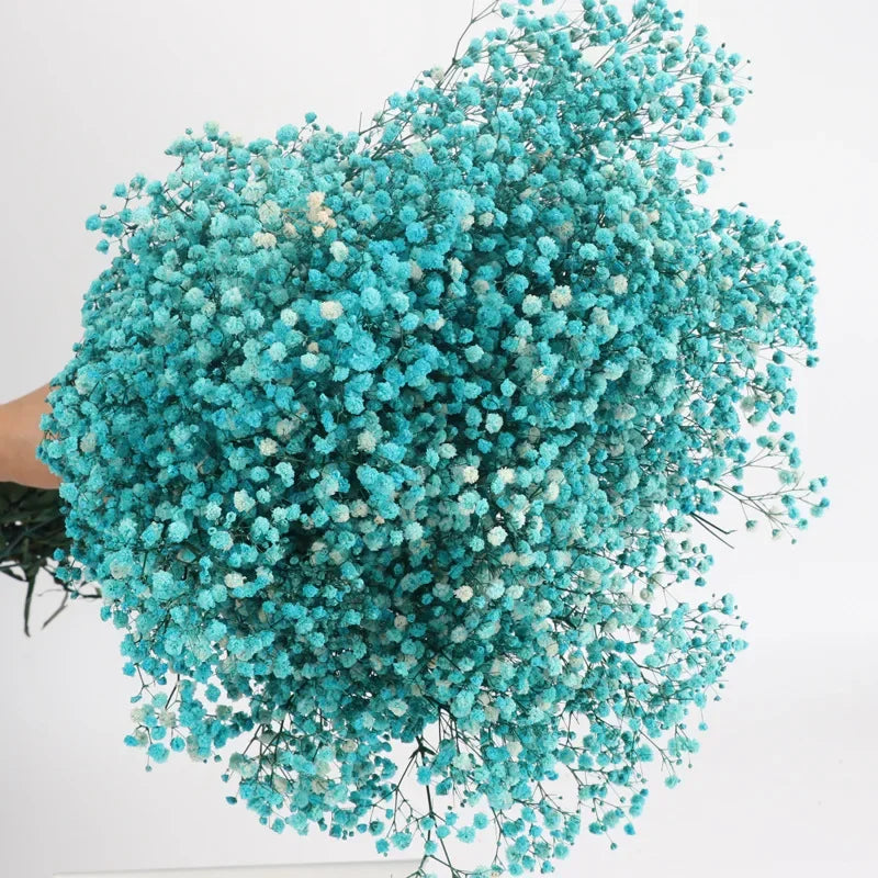 120g/450g Preserved Flowers Natural Fresh Gypsophila Dried Baby's Breath Flower Bouquets Gift for Wedding Decoration Home Decor