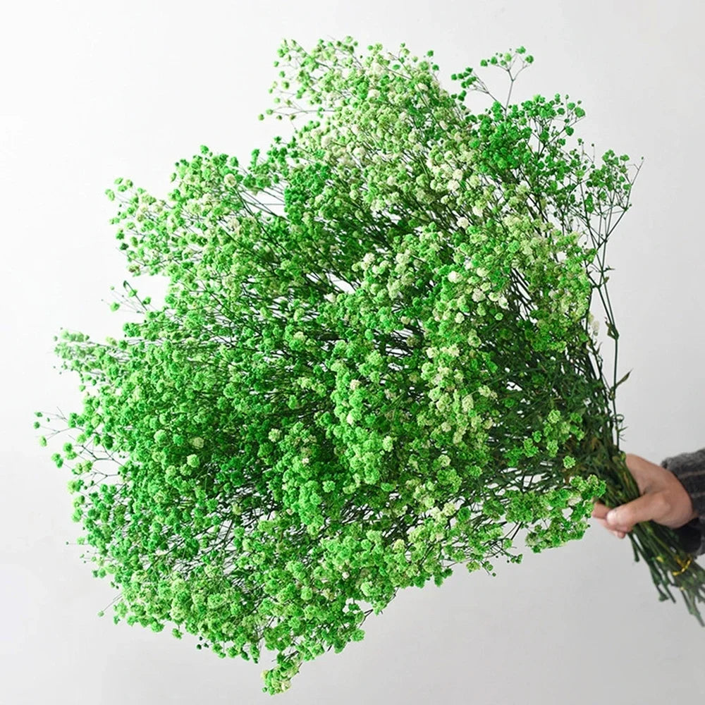 40-50cm Natural Fresh Dried Flowers Gypsophila paniculata,Baby's Breath Flower bouquets,gift & Wedding Decoration,Home Decor