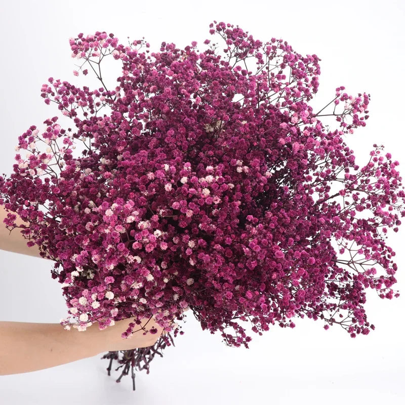 120g/450g Preserved Flowers Natural Fresh Gypsophila Dried Baby's Breath Flower Bouquets Gift for Wedding Decoration Home Decor