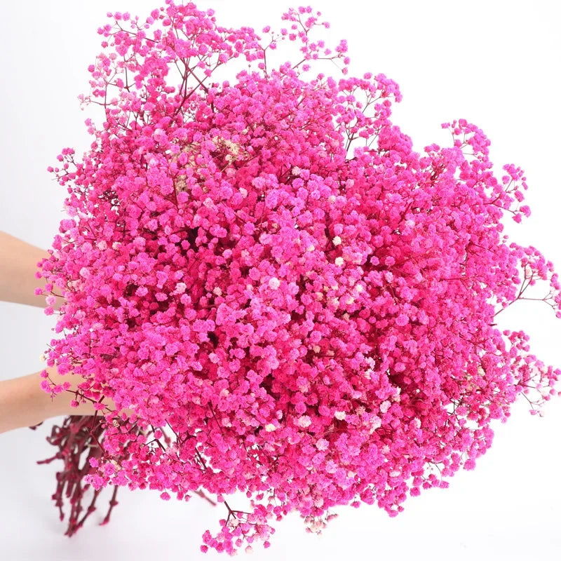 120g/450g Preserved Flowers Natural Fresh Gypsophila Dried Baby's Breath Flower Bouquets Gift for Wedding Decoration Home Decor