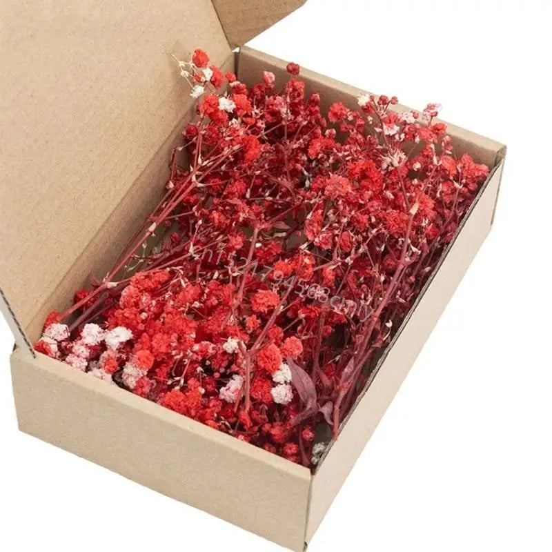 Set Of 50 Everlasting White Baby’s Breath Dried Flower Floral Stems For Wedding Decoration And Handmade Crafts 6XDE
