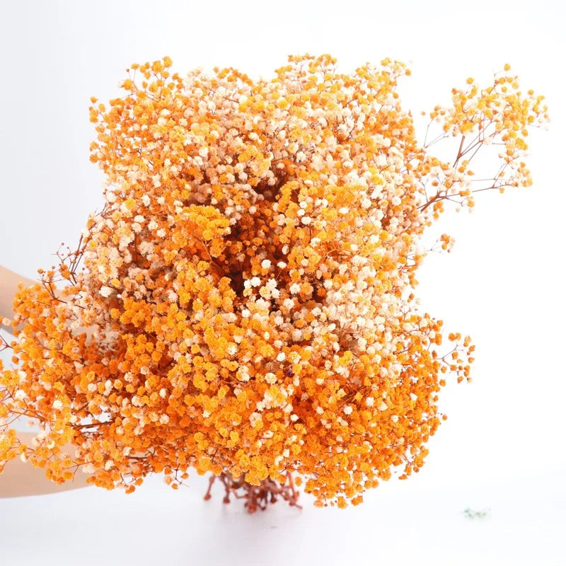 120g/450g Preserved Flowers Natural Fresh Gypsophila Dried Baby's Breath Flower Bouquets Gift for Wedding Decoration Home Decor