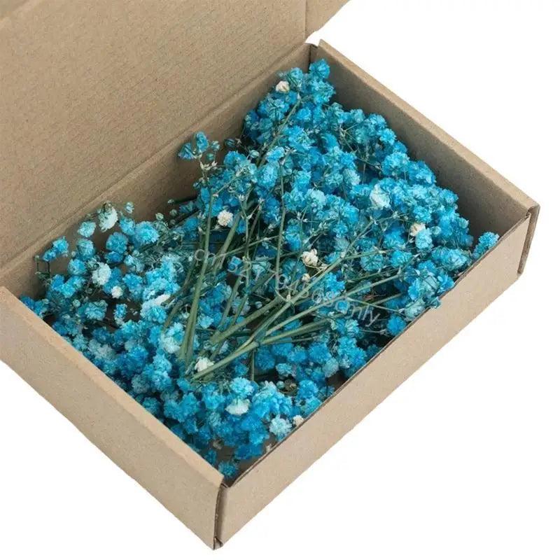 Set Of 50 Everlasting White Baby’s Breath Dried Flower Floral Stems For Wedding Decoration And Handmade Crafts 6XDE