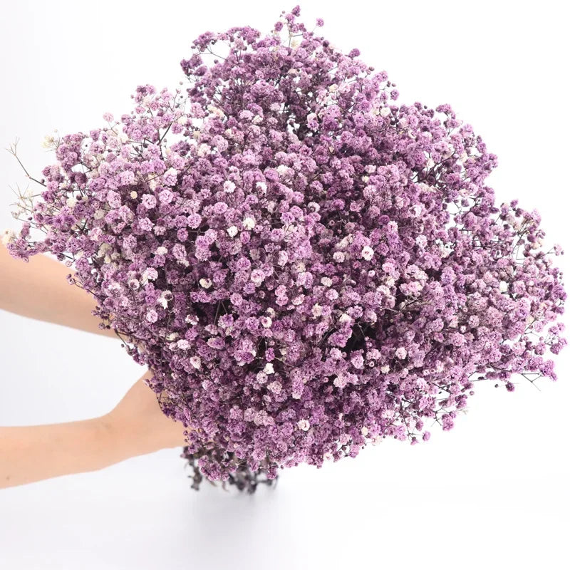 120g/450g Preserved Flowers Natural Fresh Gypsophila Dried Baby's Breath Flower Bouquets Gift for Wedding Decoration Home Decor