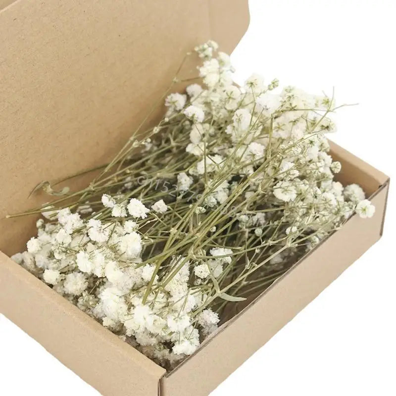 Set Of 50 Everlasting White Baby’s Breath Dried Flower Floral Stems For Wedding Decoration And Handmade Crafts 6XDE