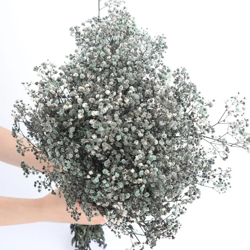 120g/450g Preserved Flowers Natural Fresh Gypsophila Dried Baby's Breath Flower Bouquets Gift for Wedding Decoration Home Decor