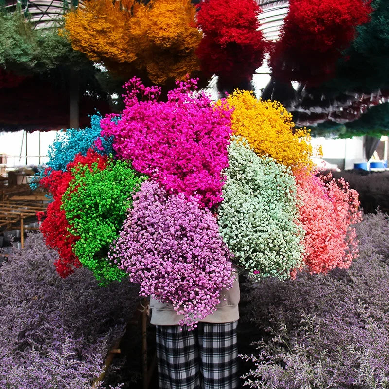 120g/450g Preserved Flowers Natural Fresh Gypsophila Dried Baby's Breath Flower Bouquets Gift for Wedding Decoration Home Decor