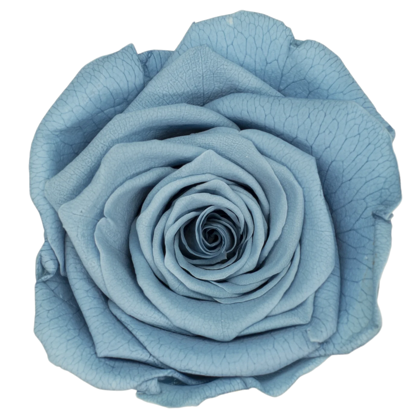 B Grade 3-4cm Preserved Rose Head Natural Fresh Real Rose Flower Natural Rose Flower Valentine's Day Gift Home Decor Rose Flower