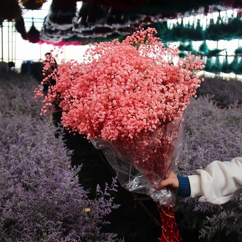 120g/450g Preserved Flowers Natural Fresh Gypsophila Dried Baby's Breath Flower Bouquets Gift for Wedding Decoration Home Decor