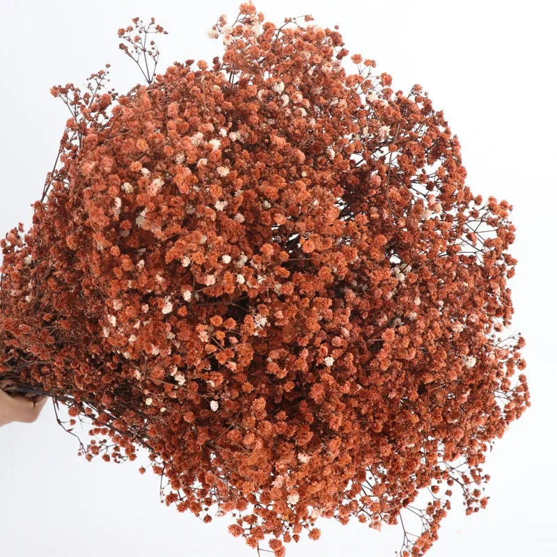 120g/450g Preserved Flowers Natural Fresh Gypsophila Dried Baby's Breath Flower Bouquets Gift for Wedding Decoration Home Decor