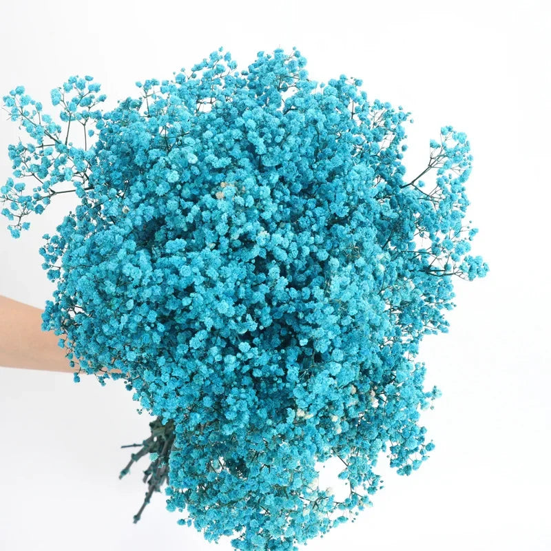 120g/450g Preserved Flowers Natural Fresh Gypsophila Dried Baby's Breath Flower Bouquets Gift for Wedding Decoration Home Decor