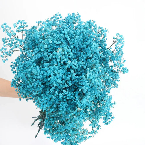 120g/450g Preserved Flowers Natural Fresh Gypsophila Dried Baby's Breath Flower Bouquets Gift for Wedding Decoration Home Decor