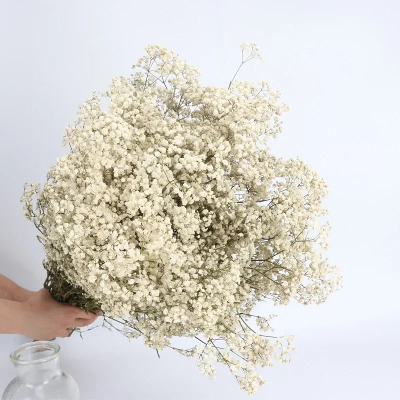 120g/450g Preserved Flowers Natural Fresh Gypsophila Dried Baby's Breath Flower Bouquets Gift for Wedding Decoration Home Decor