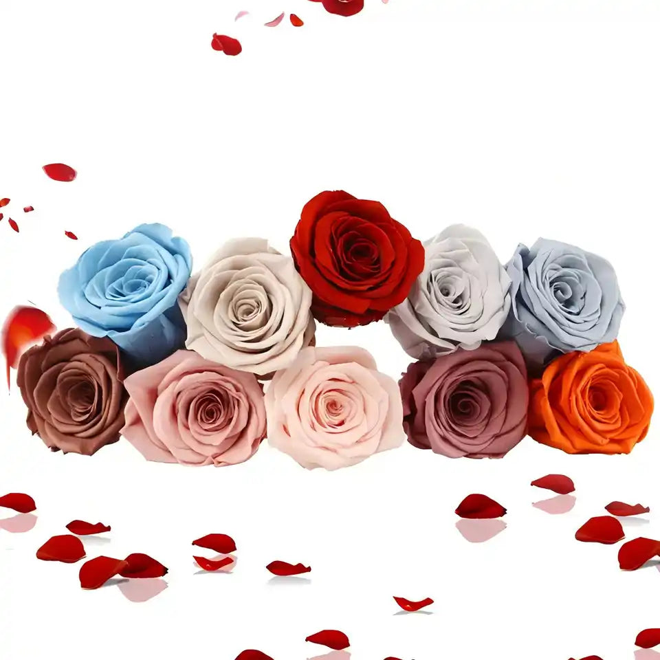 B Grade 3-4cm Preserved Rose Head Natural Fresh Real Rose Flower Natural Rose Flower Valentine's Day Gift Home Decor Rose Flower