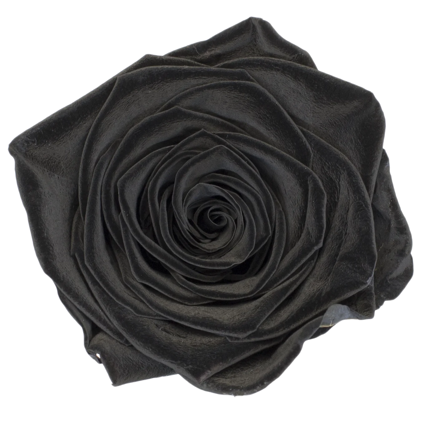 B Grade 5-6cm Preserved Natural Rose Head Fresh Real Rose Flowers Long Last Immortal Flowers Wedding Decor Florist DIY Materials